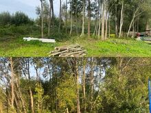 Работы по распиловке и расчистке кустарника, в сезон - �