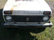 Niva
