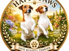 Jack Russell terjeri kutsikad