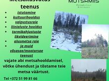 Metsakasvatus