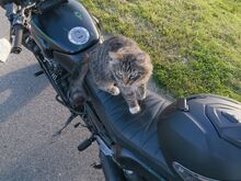 Yamaha FZX 750 1987