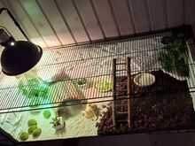 2 terraariumi soodushinnaga