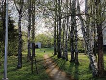4-комнатная квартира в Кивиыли, Кескпуйестеэ 46