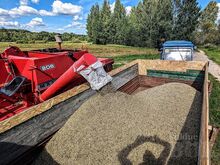 Kombain Massey Ferguson 206