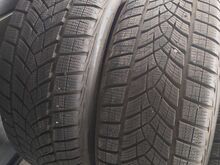 Talverehvid R19