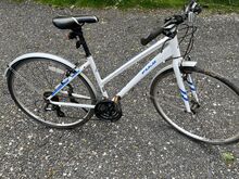 Jalgratas Fuji Absolute