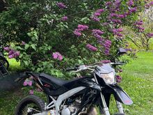 Aprilia sx50