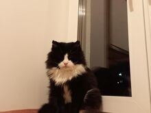 Ilus Sõber