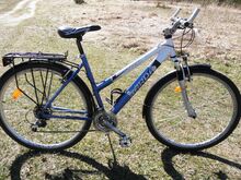 Jalgratas SARDA.26´´
