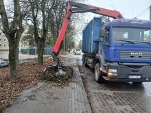 Okste ja emexi vedu Rakveres