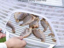 Сетка для сушки (рыба, травы)