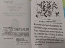 Raamat - Musketär ja haldjas