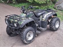 Honda Foreman/TRX 400 mootoriga projekt