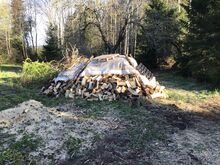 Дрова недорого (ель)