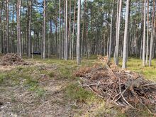 Metsatöödeks ja pinnase korrastamine