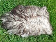 Heidschnucke lambanahad, Premium