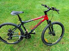Jalgratas Schwinn Mesa GSD, 24 käiku