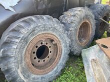 Ural rattad