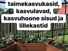 Termopuidust taime ja lillekastid
