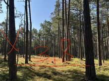 Metsatöödeks ja pinnase korrastamine