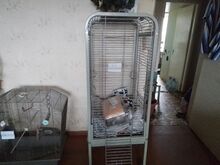 Птичьи клетки