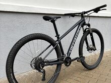 Specialized Rockhopper(29)