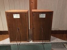 Kõlarid Elektroonika