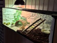 Omanäoline käsitsi kujundatud terraarium