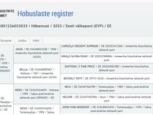 ЭСП кобыла Джетта Харизма Сильвера