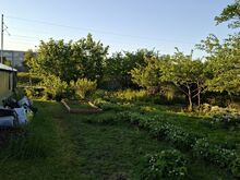 Продаётся уютная дача с баней, в городе Йыхви.