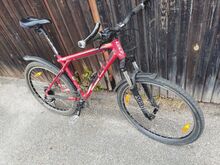 MTB jalgratas