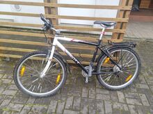 Jalgratas Scott Tigua 7005