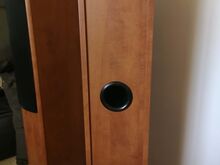 Pioneer s-h510v
