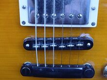 Edwards Les Paul elektrikitarr koos kohvriga