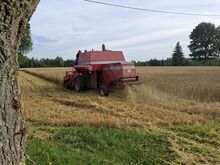 Massey Ferguson 186