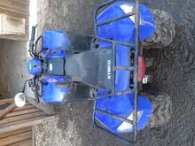 Keskmise suurusega atv