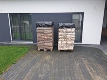 KUIVAD KÜTTEPUUD TALLINNAS JA LÄHIÜMBRUSES