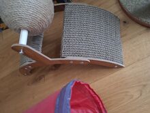 Kassitarbed