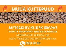 KÜTTEPUUD - metsakuiv kuusk