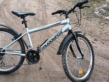 24" jalgratas