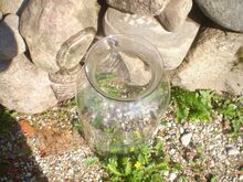 Suure suuga purk 10+ liitrit.