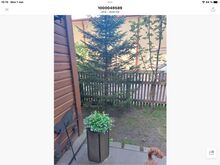 2-комнатная квартира в Нымме