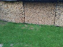 Küttepuud