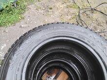 Talverehvid