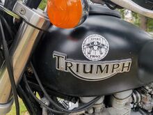 Triumph bonneville america