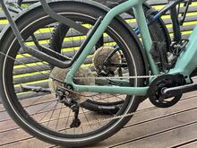 Tenways CGO600 Elektrijalgratas 250W L raam 29"