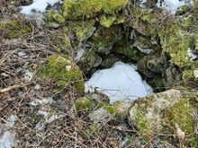 Jaagu kinnistu Läänemaal