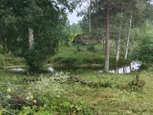 Rauli talu