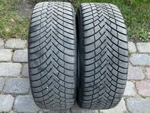 Barum Polaris 6 225/45/18 lamellrehvid