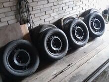Talverehvid